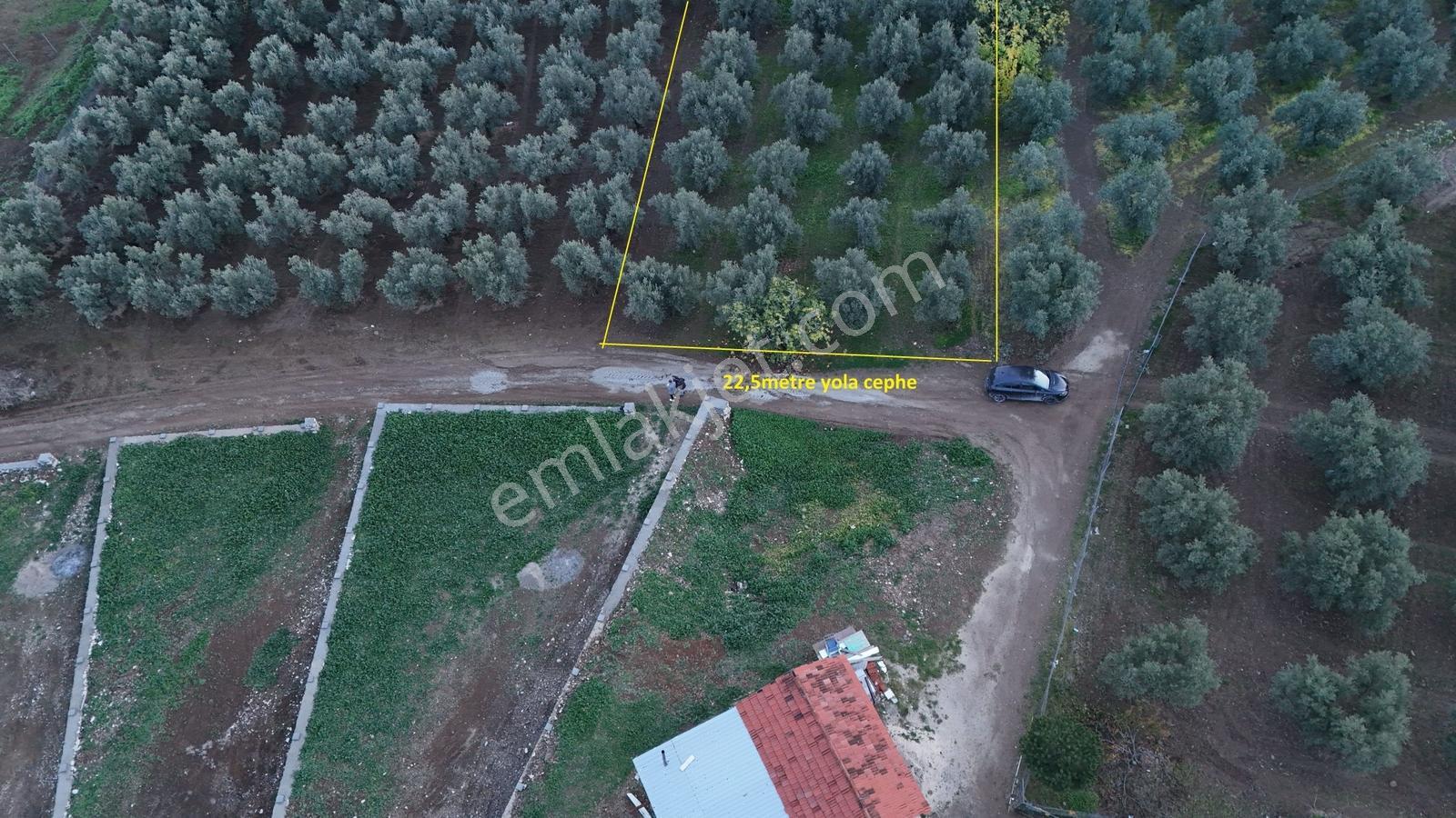 Profasor *dan Mudanya Çepni Satılık 5801m2, Kadastro Yola Cephe - Görsel 7