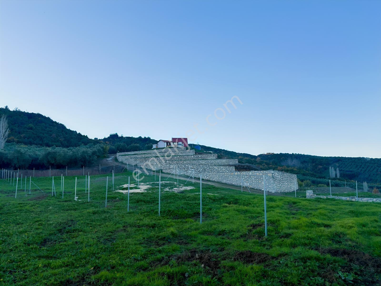 Profasor *dan Mudanya Çepni Satılık 5801m2, Kadastro Yola Cephe - Görsel 5