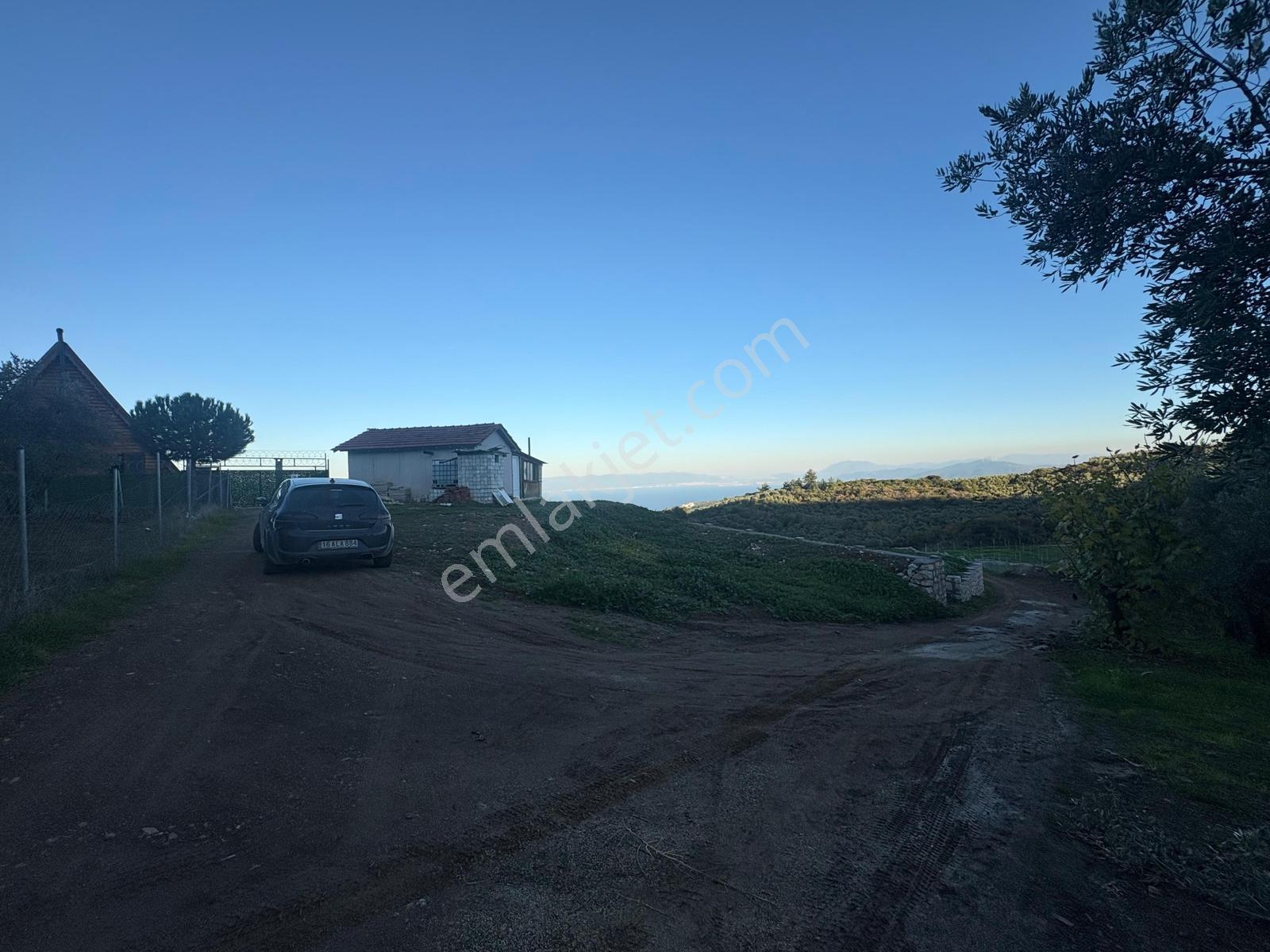 Profasor *dan Mudanya Çepni Satılık 5801m2, Kadastro Yola Cephe - Görsel 23