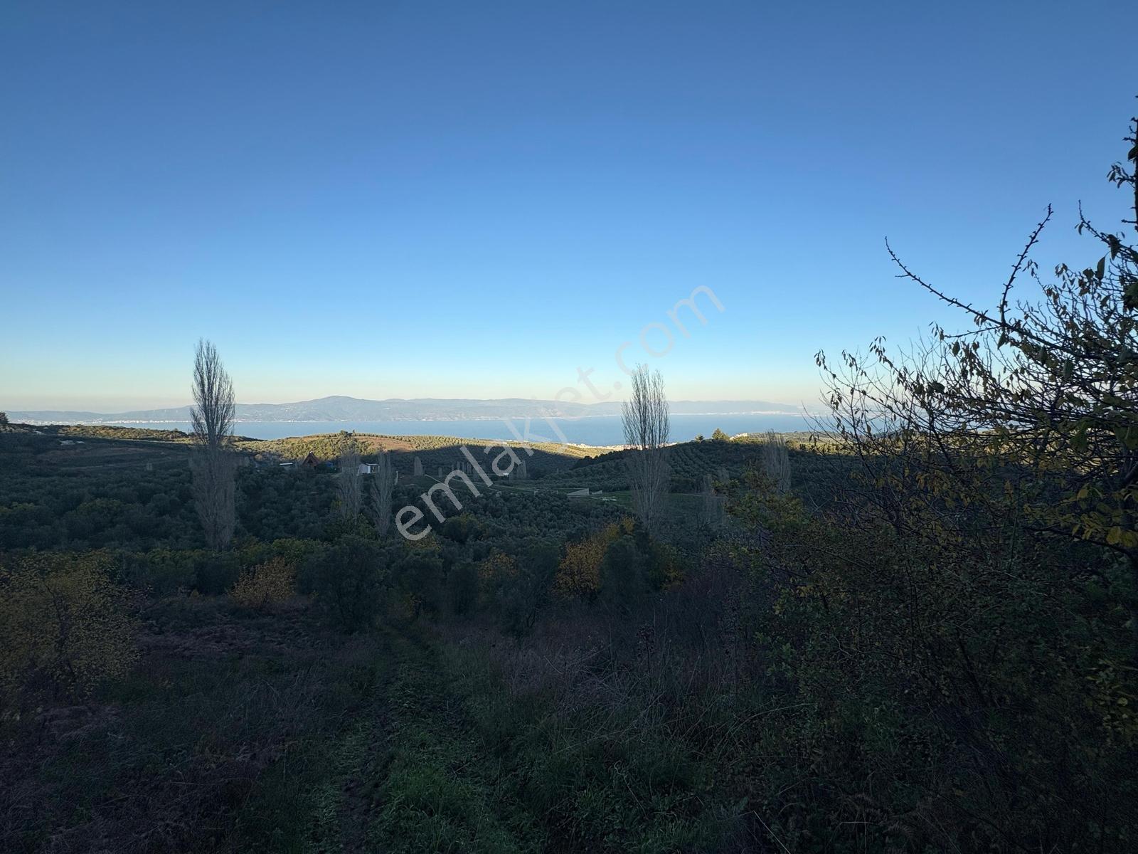 Profasor *dan Mudanya Çepni Satılık 5801m2, Kadastro Yola Cephe - Görsel 17