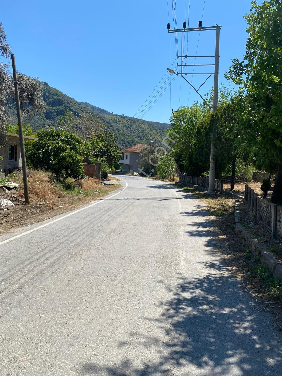 Bayındır Dereköy'de 14.254 M2 Satılık Verimli Zeytinlik - Görsel 11