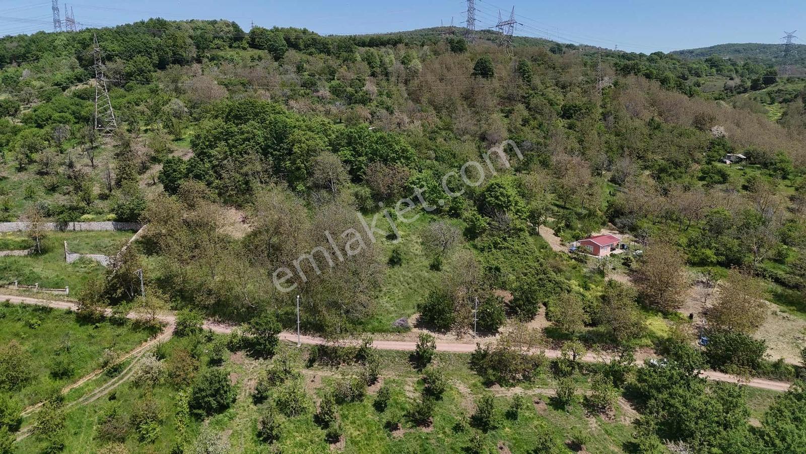 Tarcanlardan Yenieşmede 1735 Metre Kare Fulll. Göl Manzaralı - Görsel 26