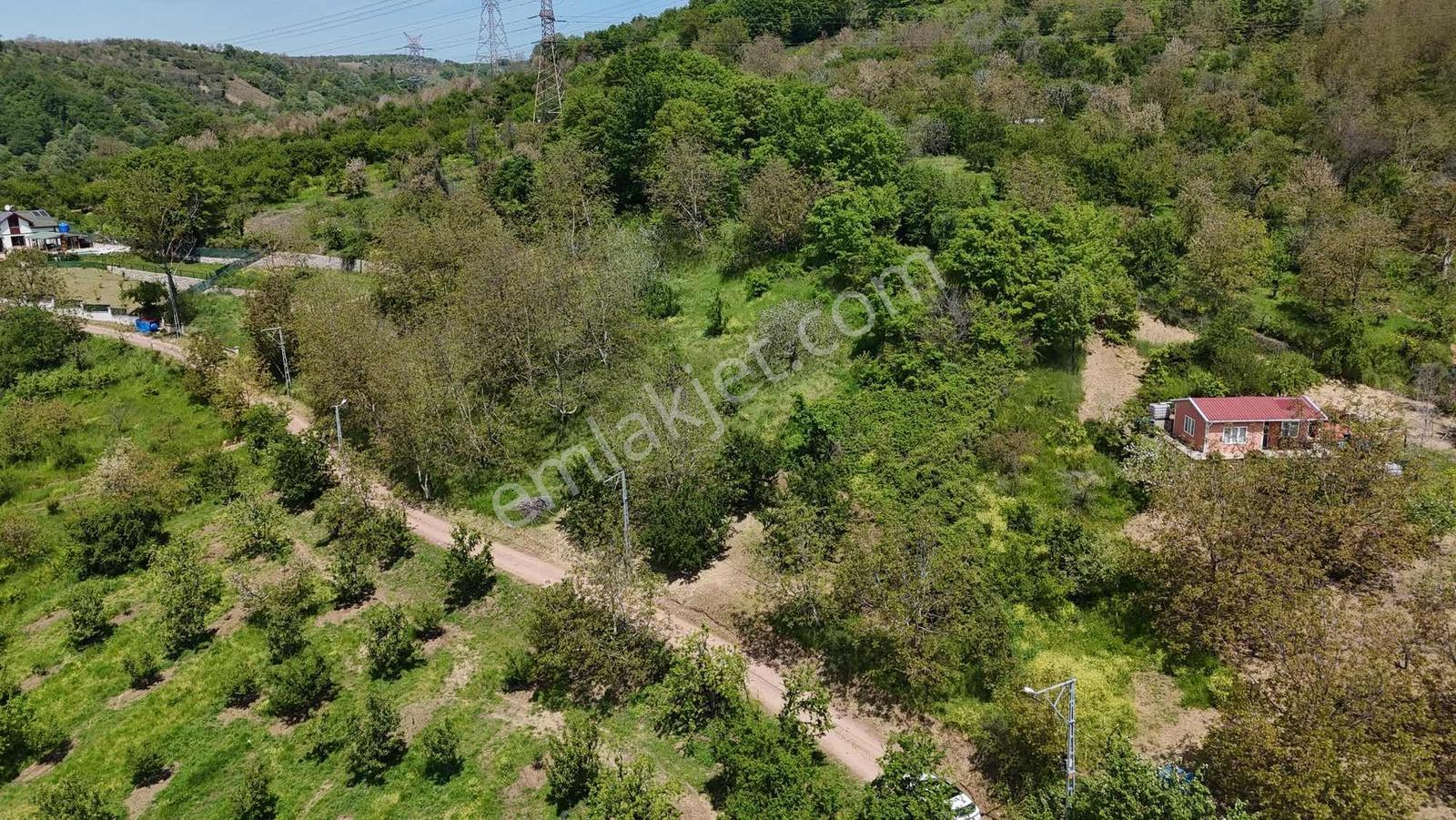 Tarcanlardan Yenieşmede 1735 Metre Kare Fulll. Göl Manzaralı - Görsel 14
