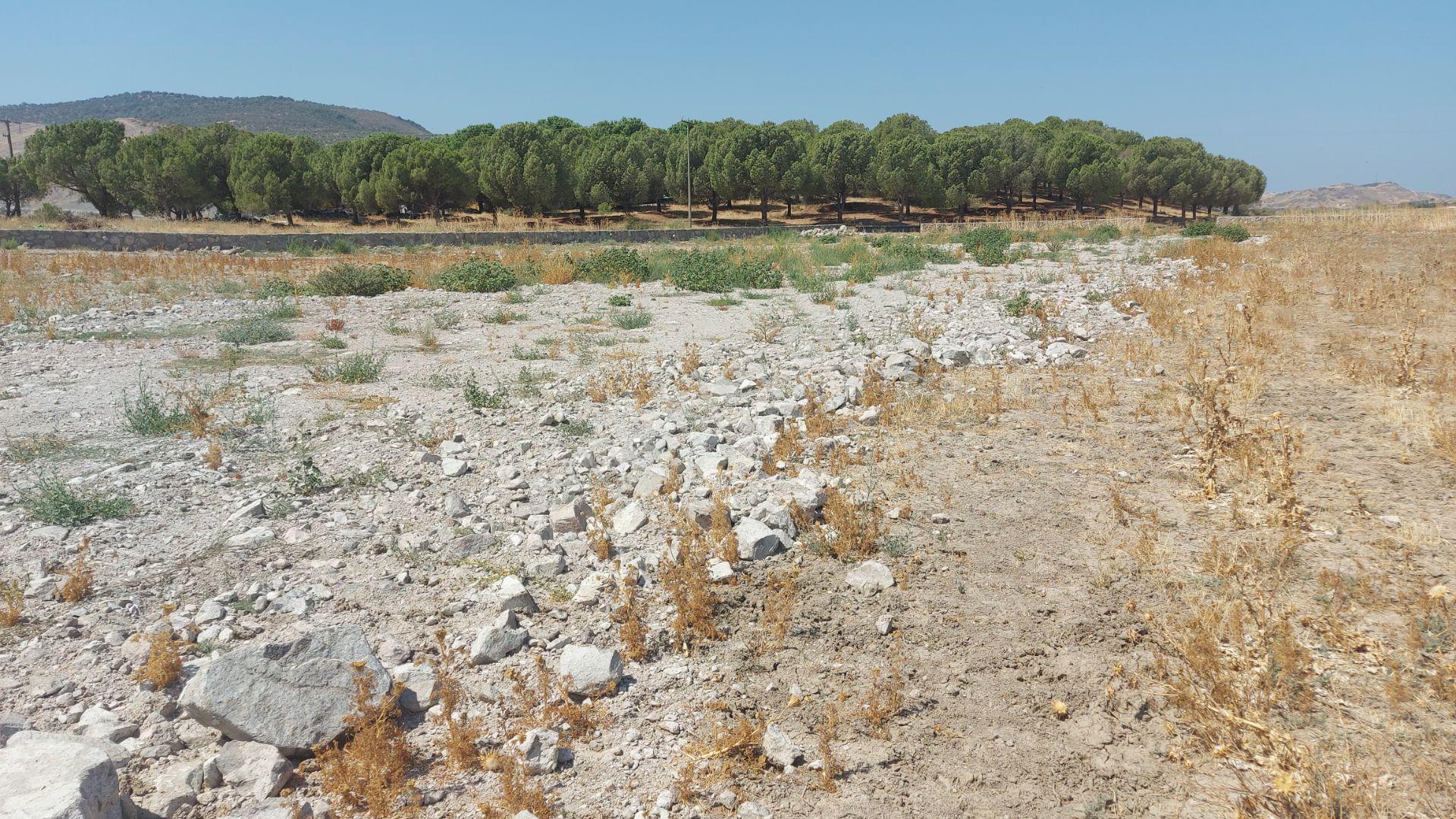 Dikili İsmetpaşa'da Osb Komşusu, Yatırımlık, Altyapılı, 300 M² Parsel - Görsel 18