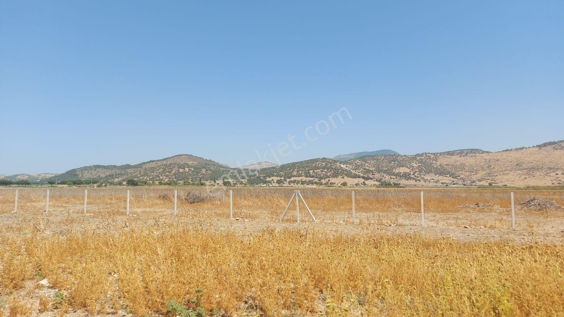 Dikili İsmetpaşa'da Osb Komşusu, Yatırımlık, Altyapılı, 300 M² Parsel - Görsel 13