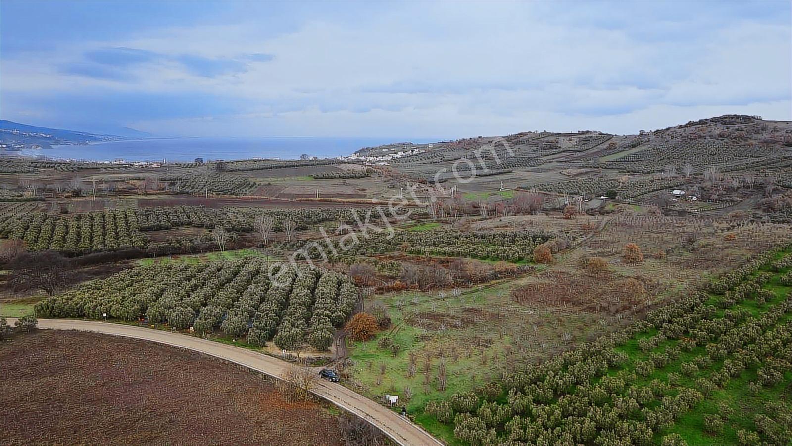 Esence'de Deniz Manzaralı Satılık Arazi - Görsel 9