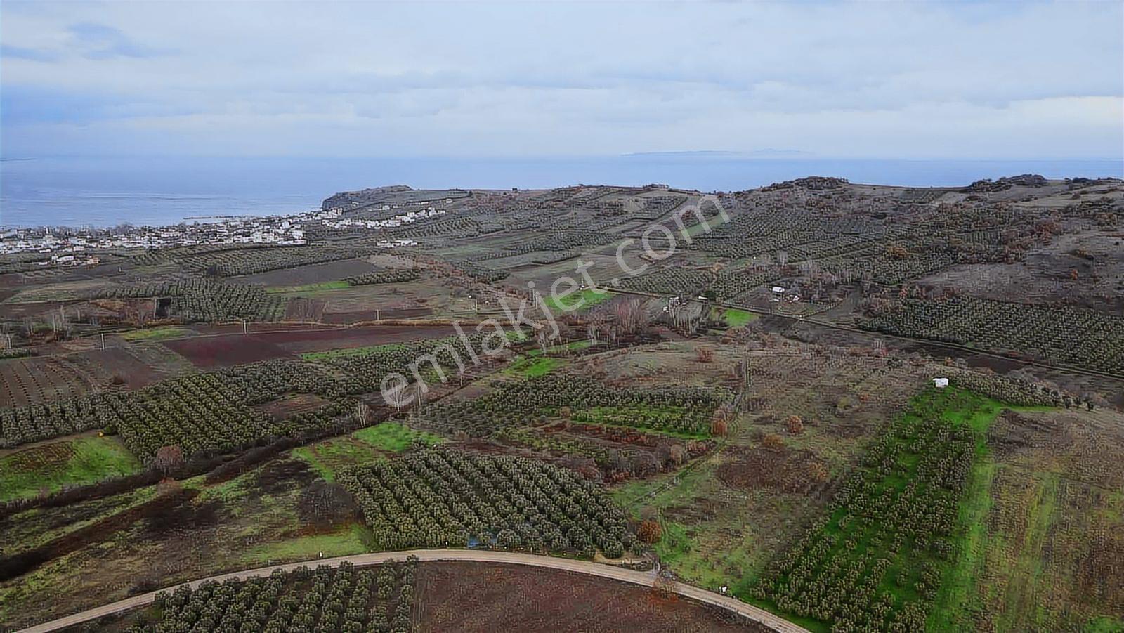 Esence'de Deniz Manzaralı Satılık Arazi - Görsel 6