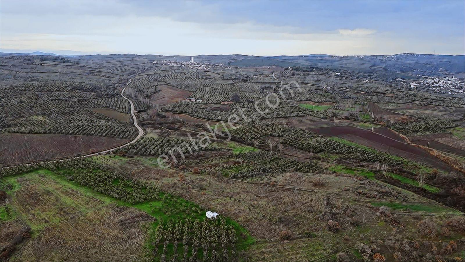 Esence'de Deniz Manzaralı Satılık Arazi - Görsel 16