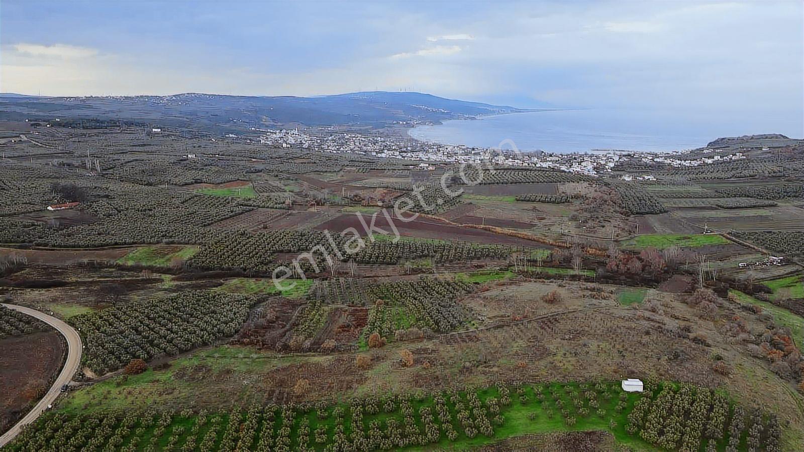 Esence'de Deniz Manzaralı Satılık Arazi - Görsel 18