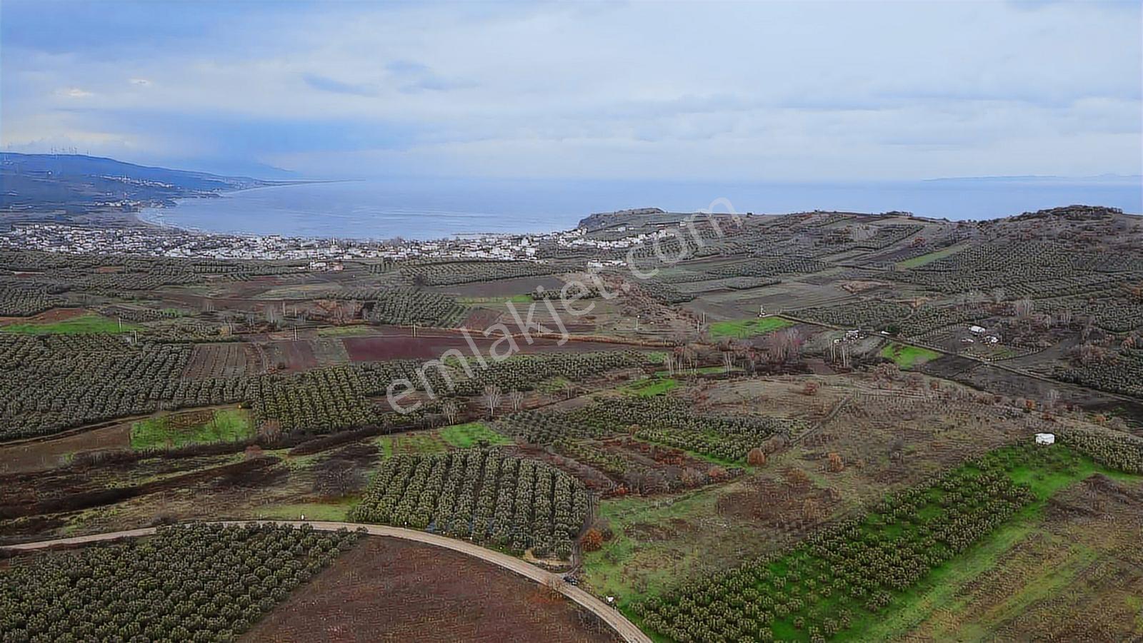 Esence'de Deniz Manzaralı Satılık Arazi - Görsel 12