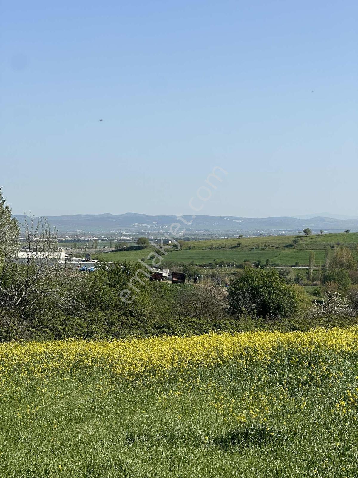 Balıkesır Karesı Üçpınar'da Satılık Arazi - Görsel 5