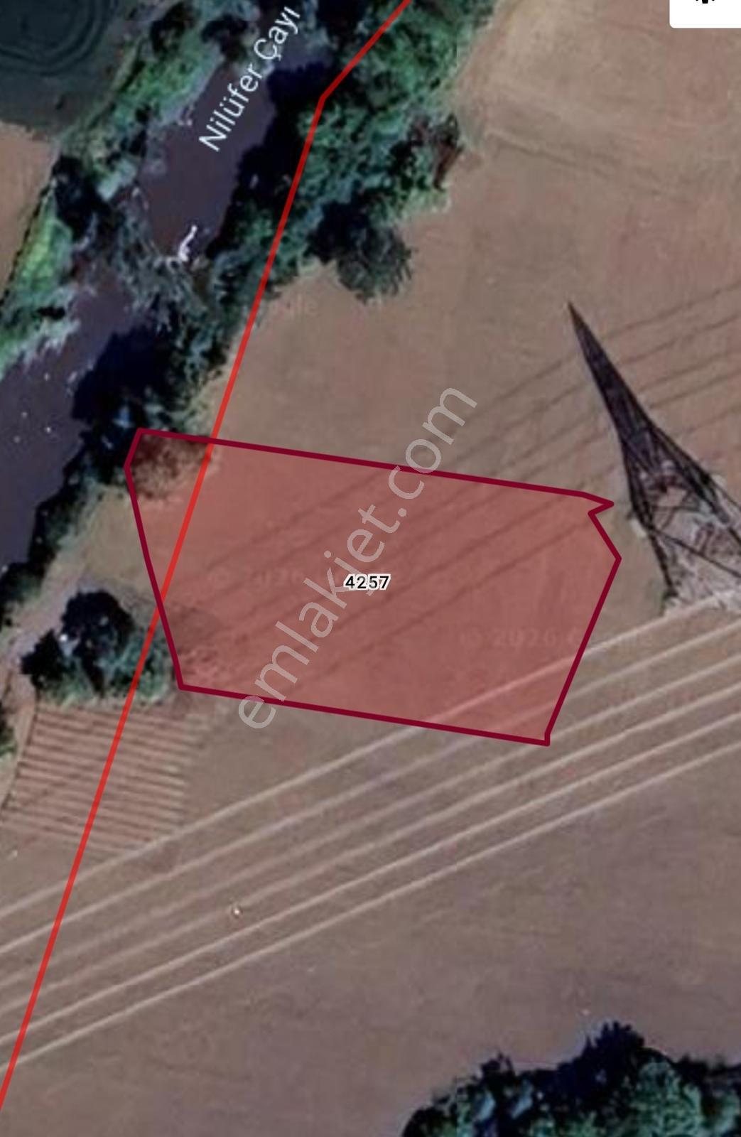 Acil! Karacabey Hürriyette 1.558 M² Satılık Tarla