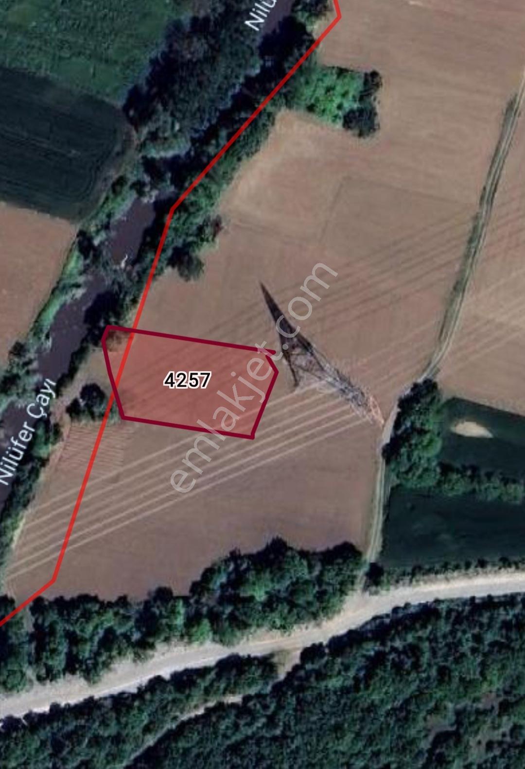 Acil! Karacabey Hürriyette 1.558 M² Satılık Tarla - Görsel 3