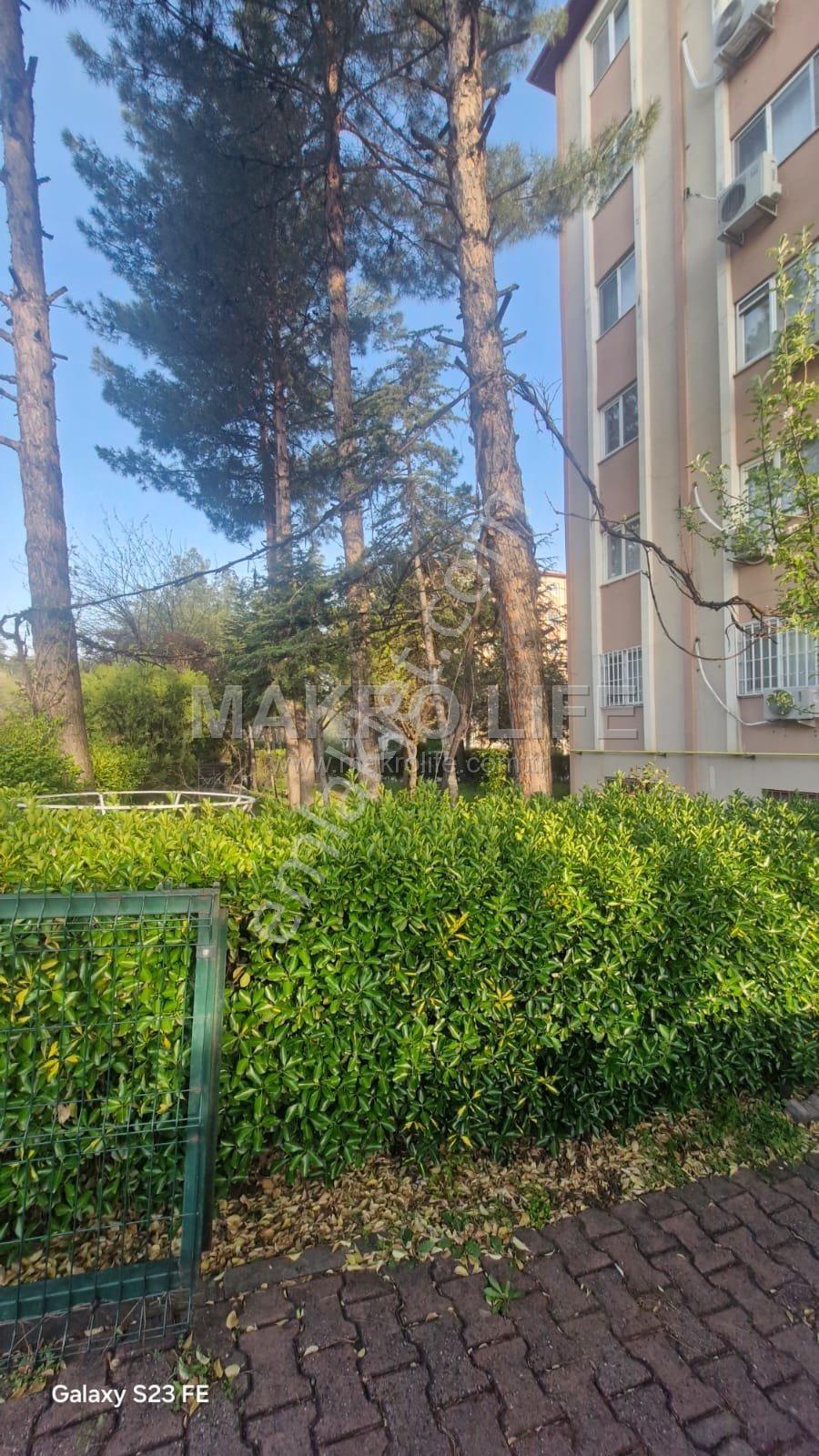 Seyrantepe Toplu Konut'ta 3+1 Full Bakımlı Satılık Daire - Görsel 7