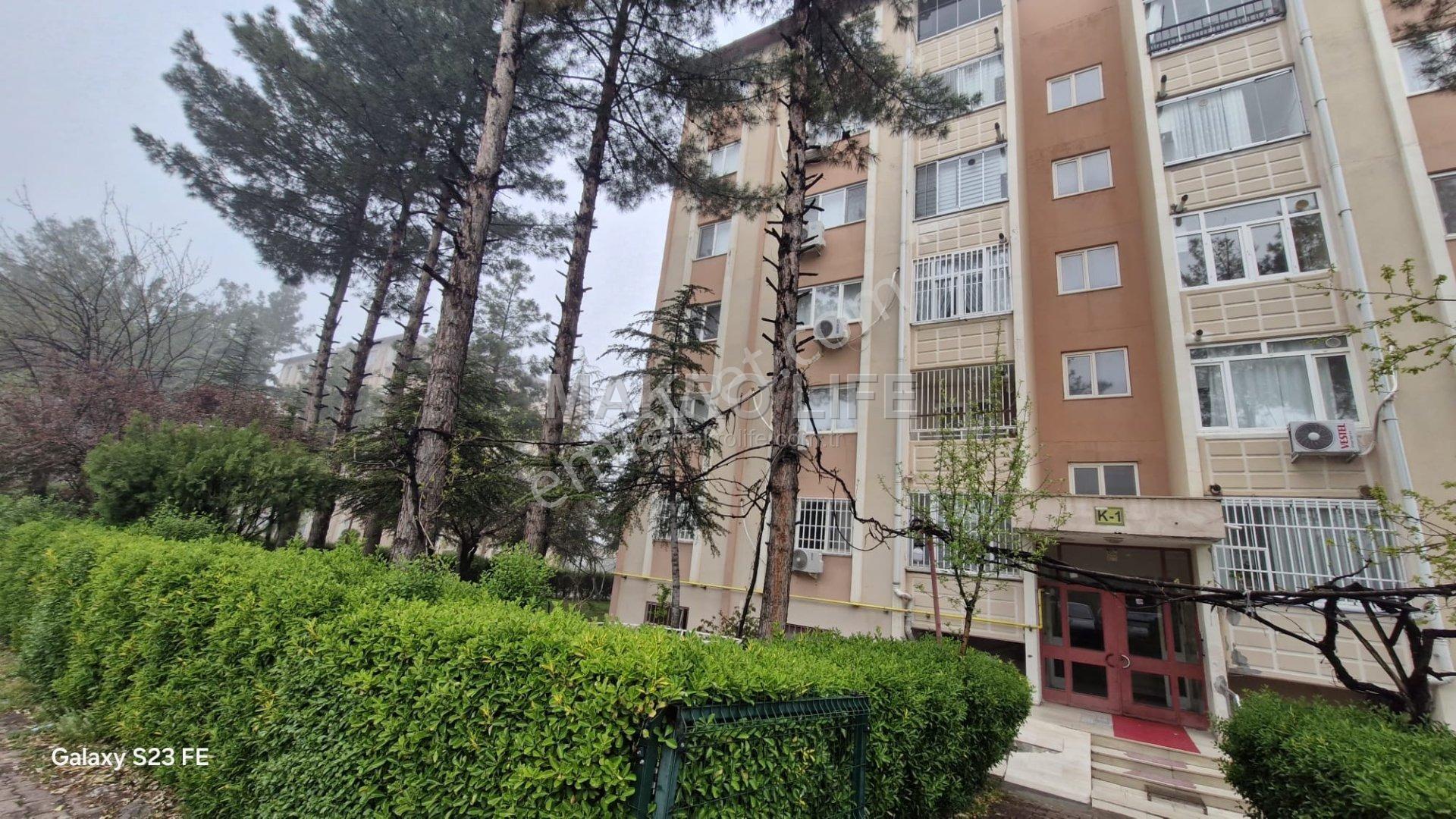 Seyrantepe Toplu Konut'ta 3+1 Full Bakımlı Satılık Daire - Görsel 27