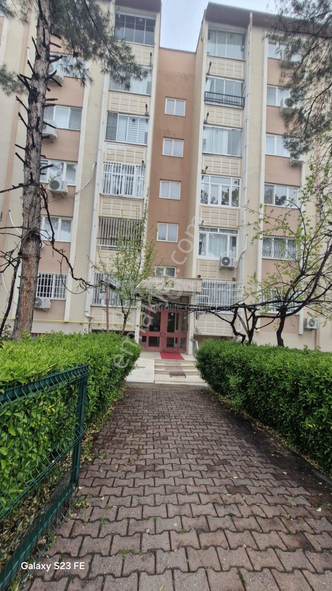 Seyrantepe Toplu Konut'ta 3+1 Full Bakımlı Satılık Daire - Görsel 9