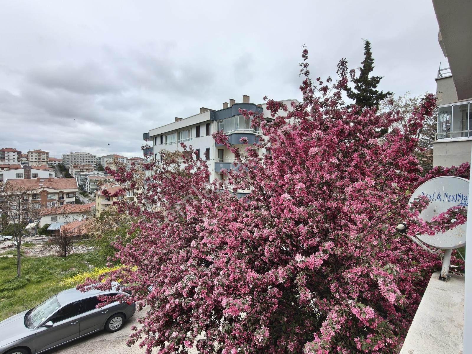 Lizbon Cad.yakını/katta/bağımsız Salon/ön Cephe/fırsat 3+1 - Görsel 3