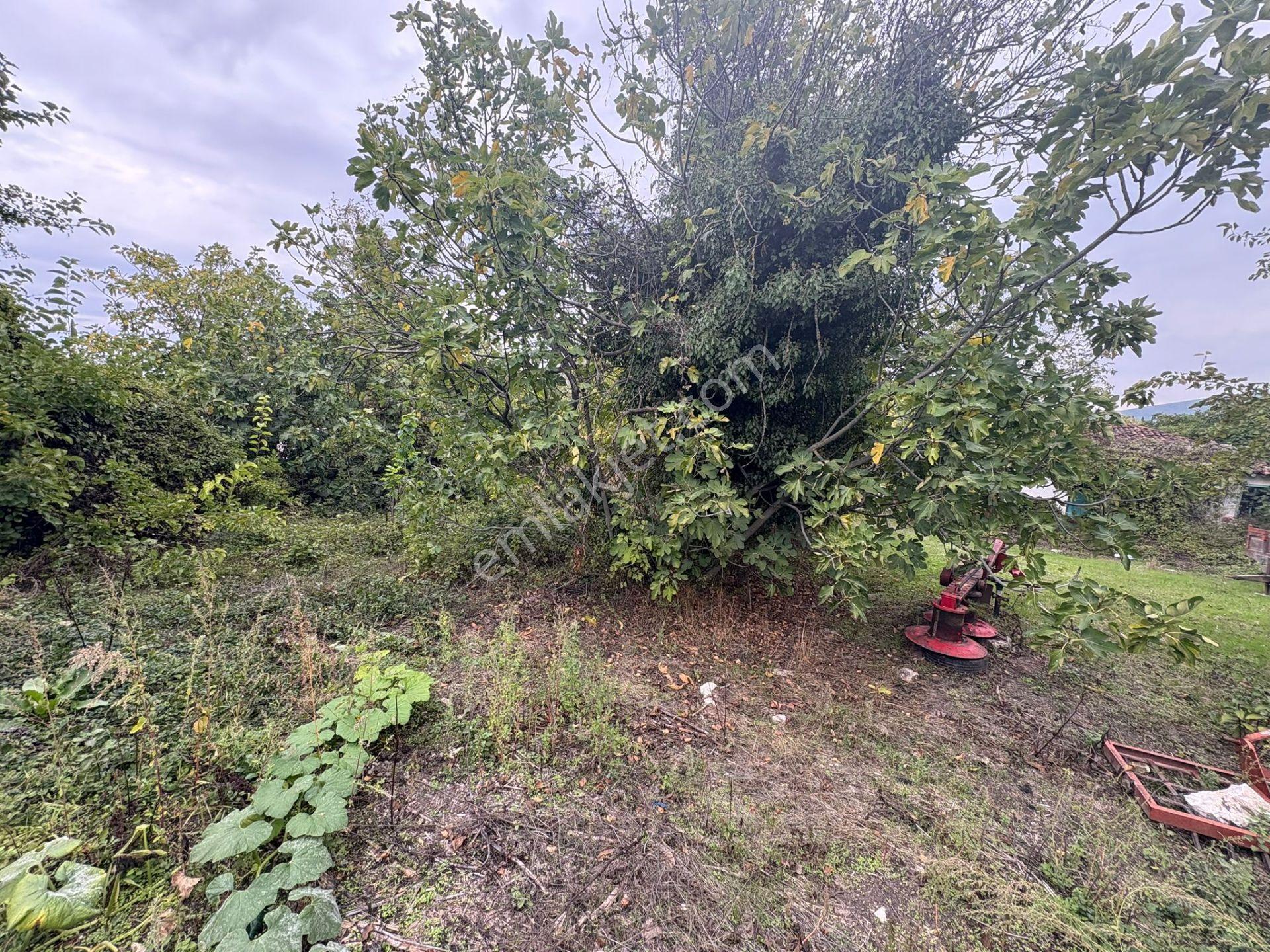 mustafakemalpaşa Kadirçeşme’de Göl Manzaralı, İmarlı, Müstakil Parsel - Görsel 6