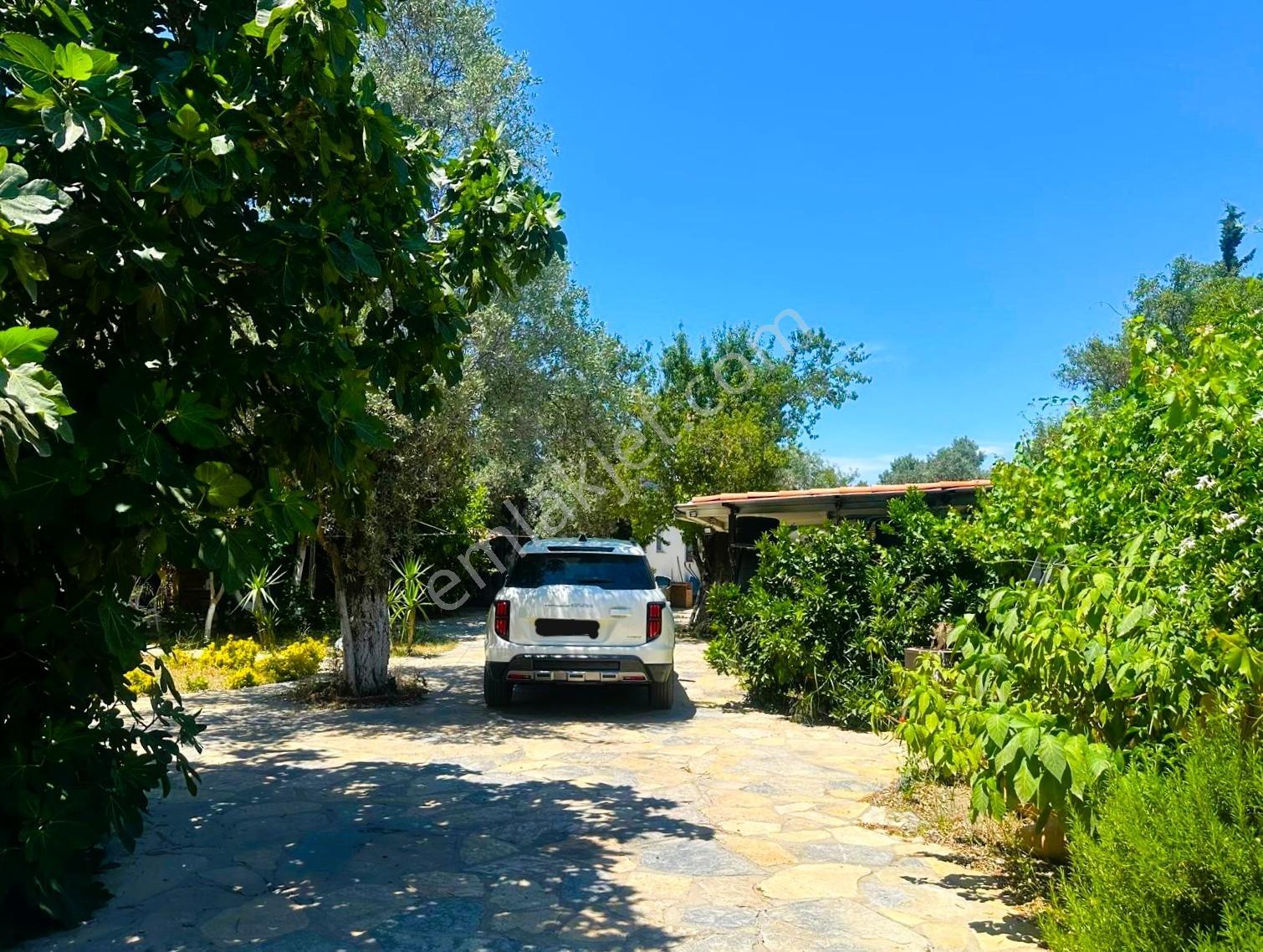 Bodrum Kızılağaçta Tek Katlı Müstakıl Vılla - Görsel 16