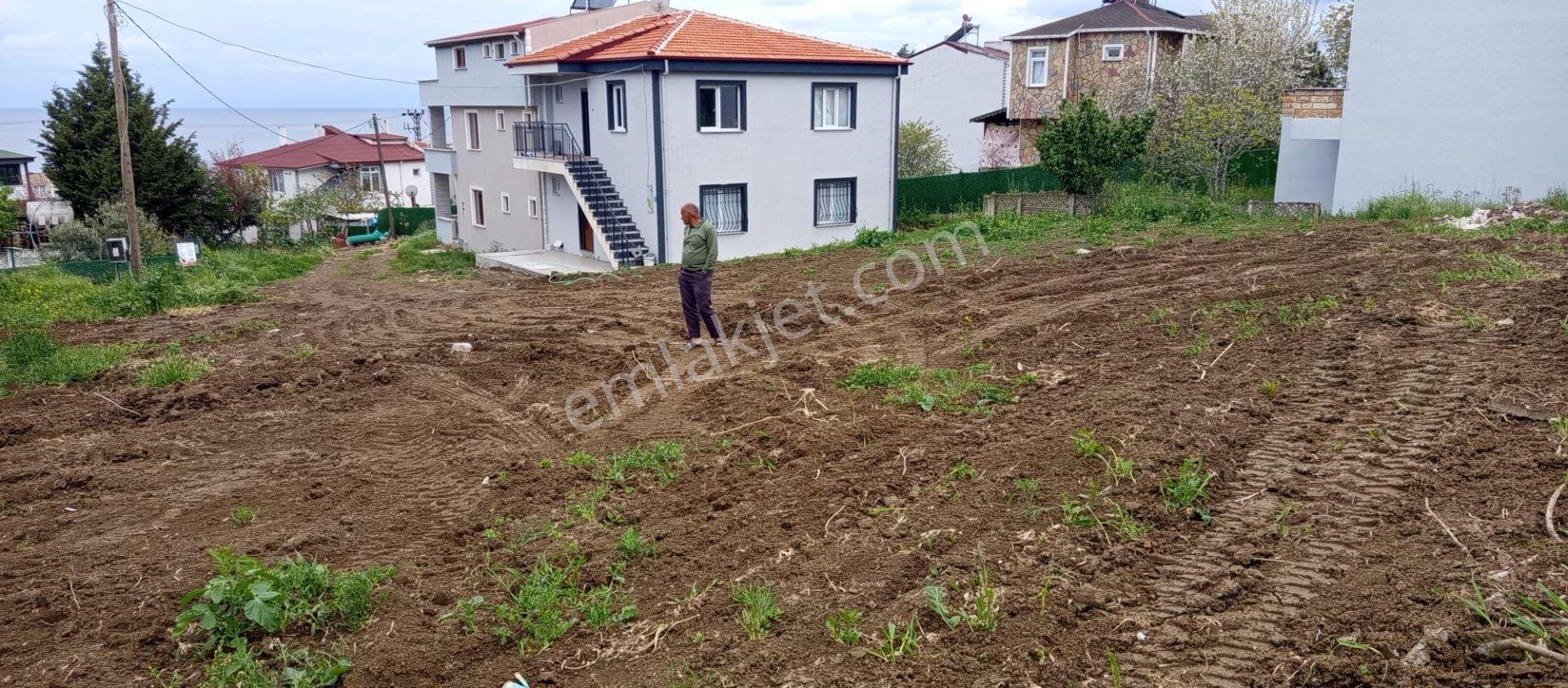 Tekirdağ Süleymanpaşa Karaevli'de Satılık Dubleks İmarlı Arsa - Görsel 5