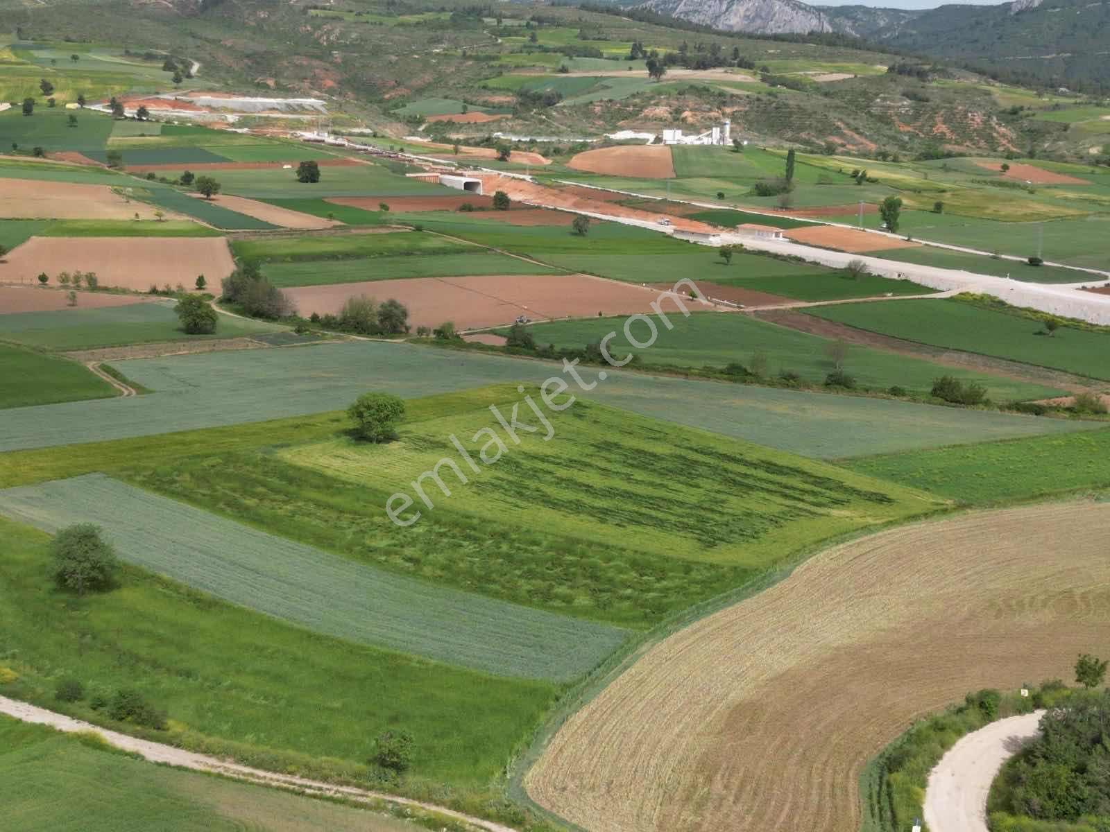 Yenişehir Hayriye'de Yola Cephe Müstakil Parsel 2838 M2 Arazi - Görsel 2