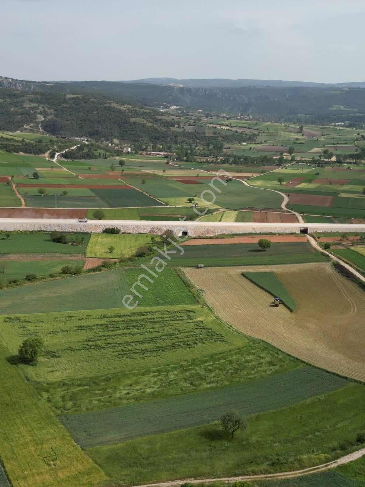 Yenişehir Hayriye'de Yola Cephe Müstakil Parsel 2838 M2 Arazi - Görsel 3