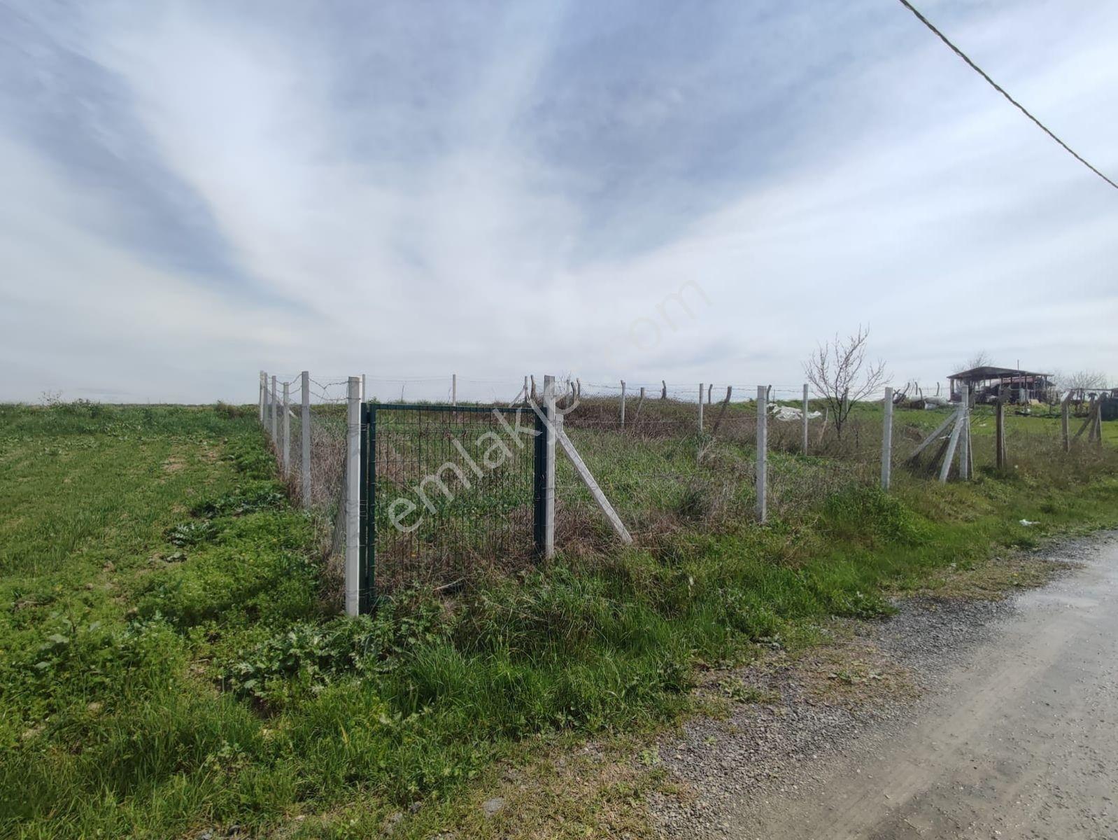Arnavutkoy Hacımaslı Koyunde 165 M2 Anayola Cephe Hısse - Görsel 4