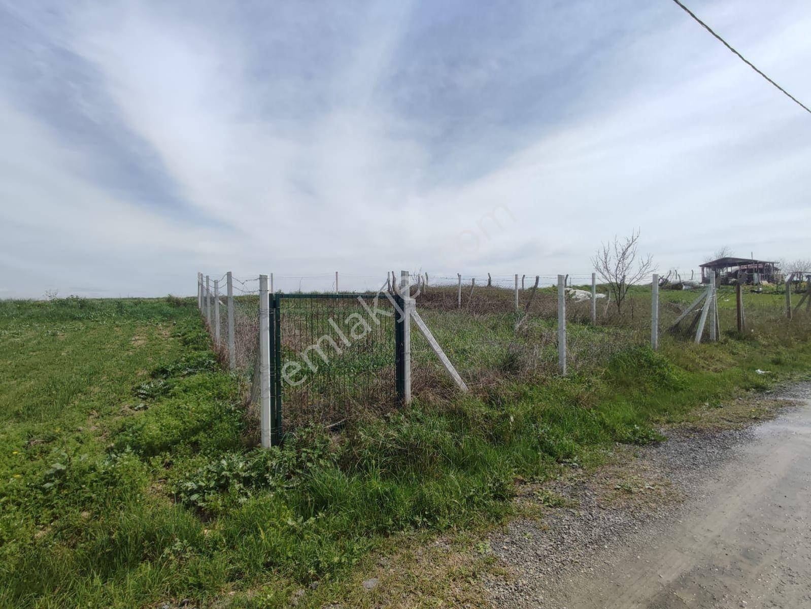 Arnavutkoy Hacımaslı Koyunde 165 M2 Anayola Cephe Hısse - Görsel 2