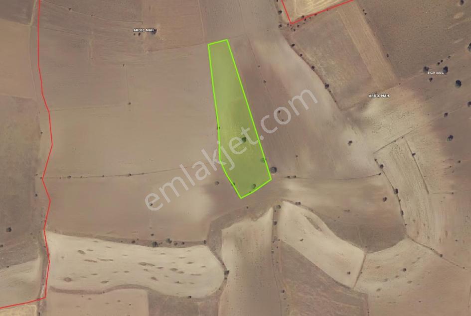 Talas Ardıç Köyü Satılık 7.650 M2 Tarla Fc Gayrimenkul