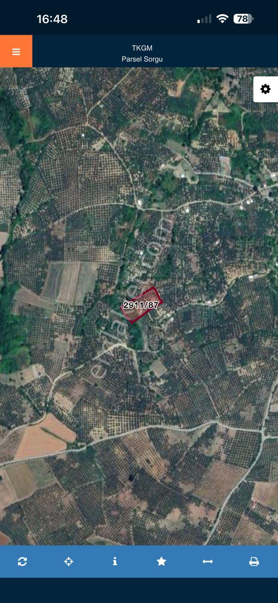Bursa Mudanya Yalıçiftlik Satılık Zeytinlik 5272 M2 - Görsel 3
