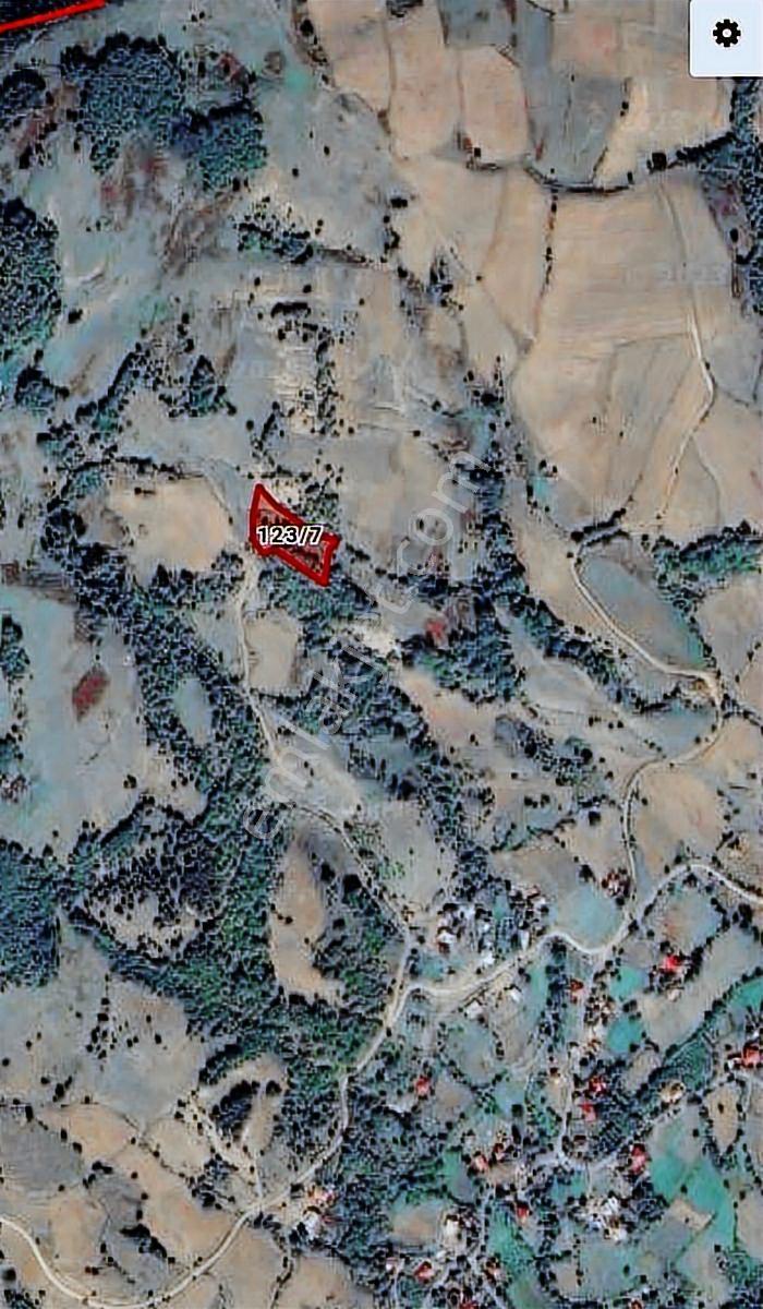 Ahşena'dan Samsun Alaçam'da Dere Kenarı 2943 M2 Satılık Arazi - Görsel 9