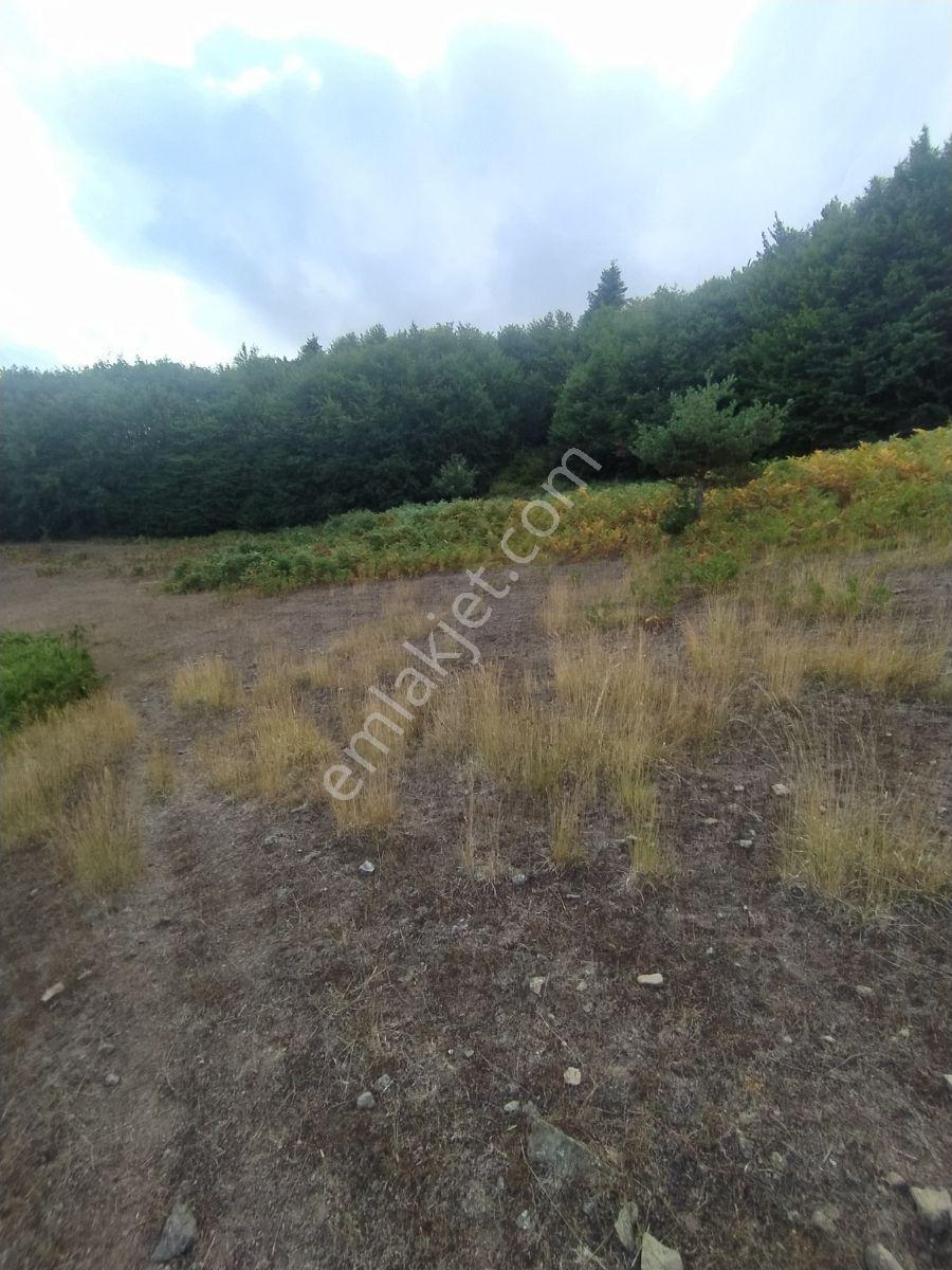Ahşena'dan Samsun Bafra'da Yatırıma Uygun 3778 M2 Satılık Arazi - Görsel 12