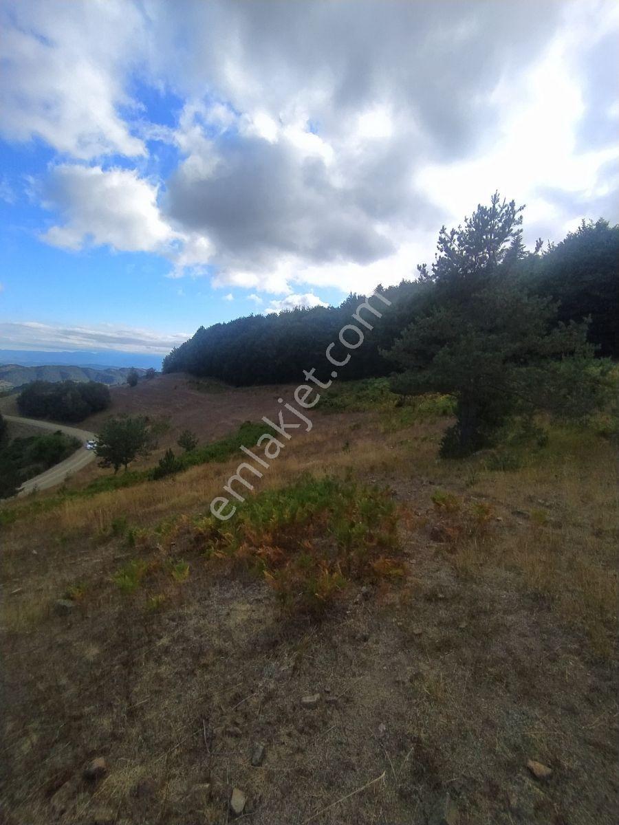 Ahşena'dan Samsun Bafra'da Yatırıma Uygun 3778 M2 Satılık Arazi - Görsel 9