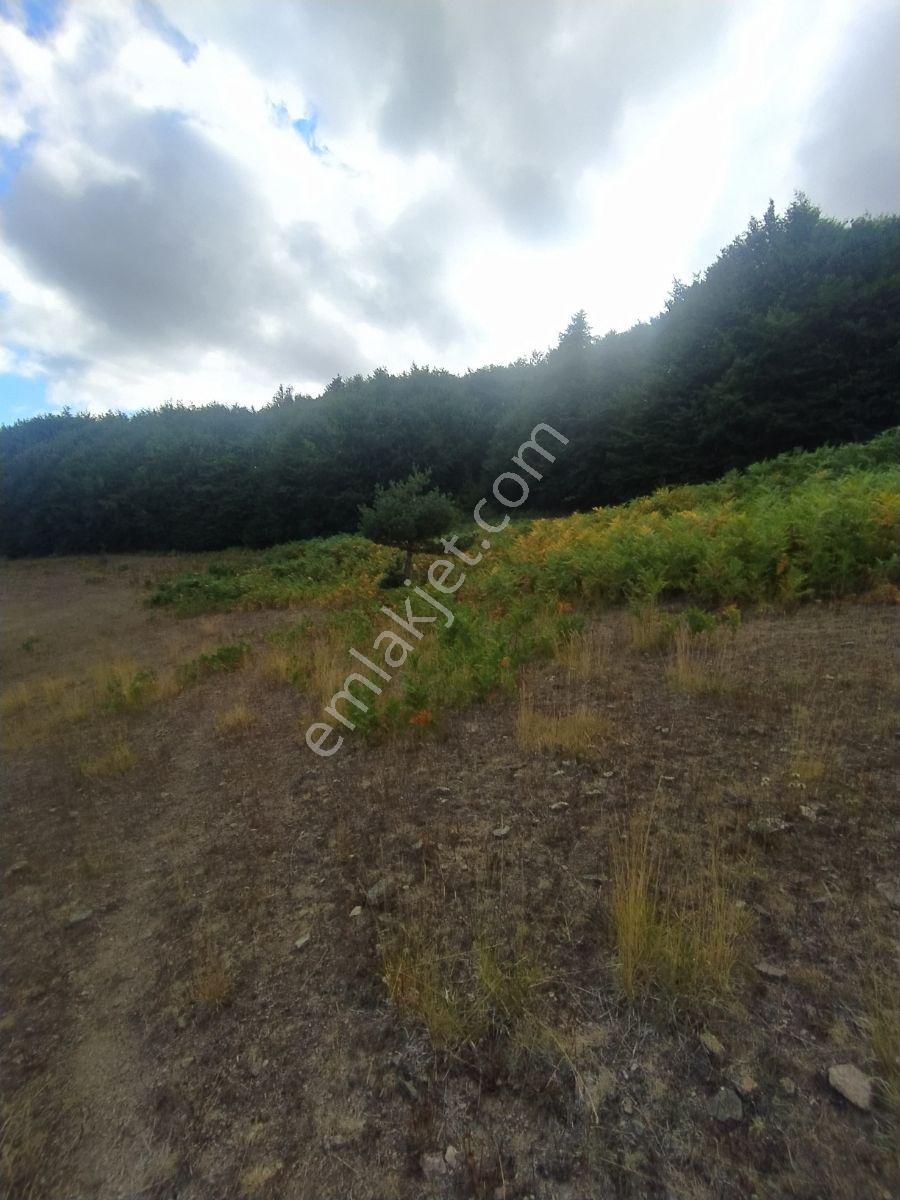 Ahşena'dan Samsun Bafra'da Yatırıma Uygun 3778 M2 Satılık Arazi - Görsel 11