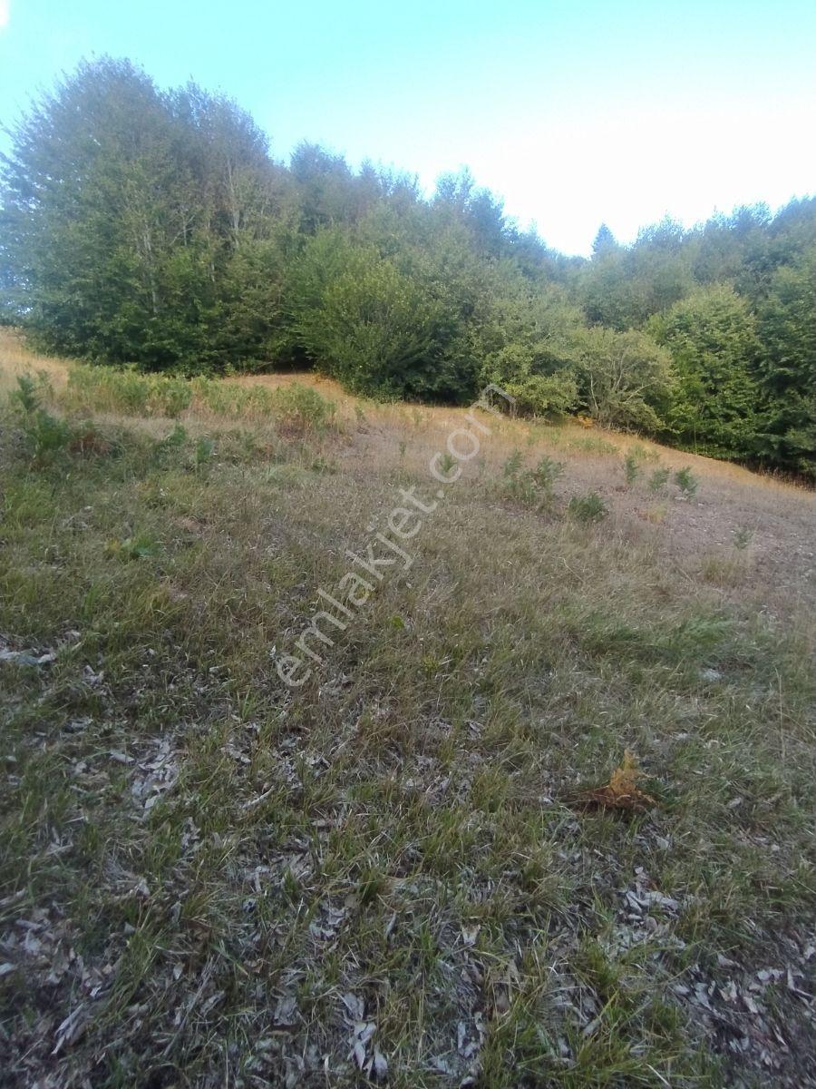 Ahşena'dan Samsun Bafra'da Yatırıma Uygun 5366 M2 Satılık Arazi - Görsel 12