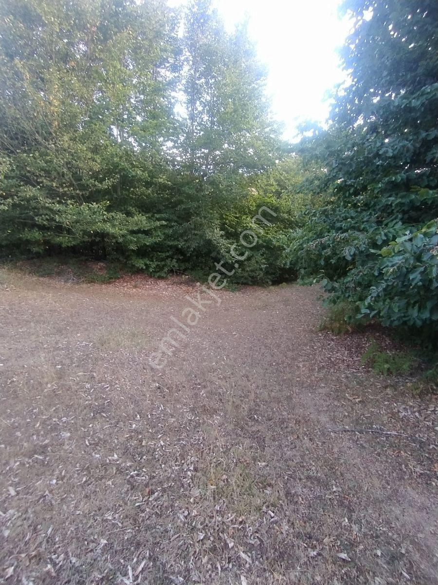 Ahşena'dan Samsun Bafra'da Yatırıma Uygun 5366 M2 Satılık Arazi - Görsel 11