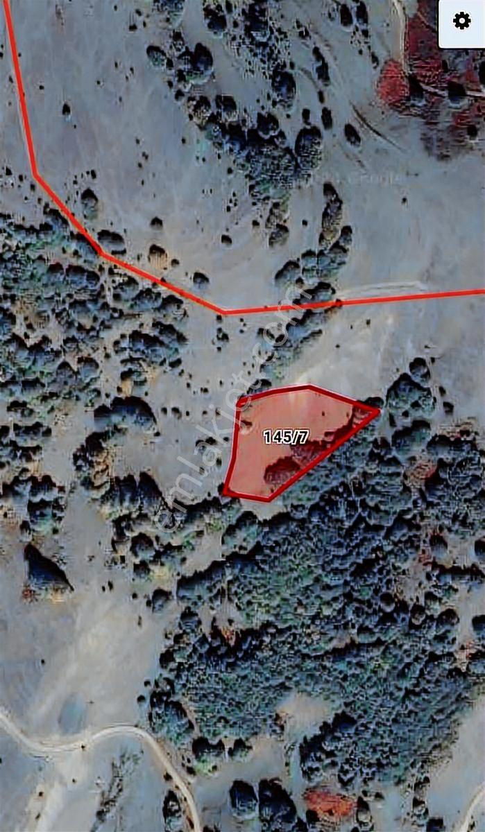 Ahşena'dan Samsun Bafra'da Yatırıma Uygun 5366 M2 Satılık Arazi - Görsel 3