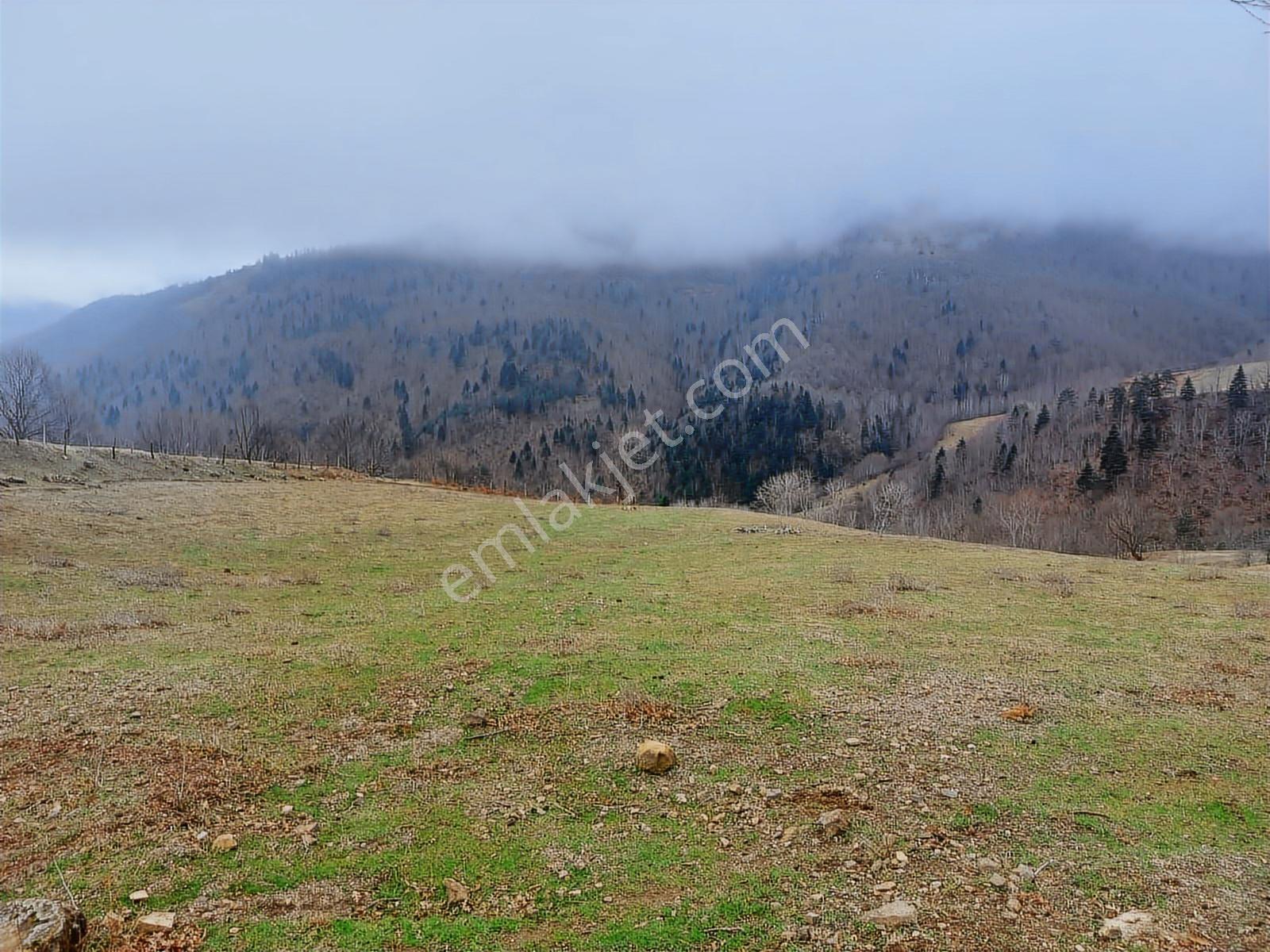 Ahşena'dan Alaçam'da Ev Yapımına Uygun 3520 M2 Satılık Arazi - Görsel 10