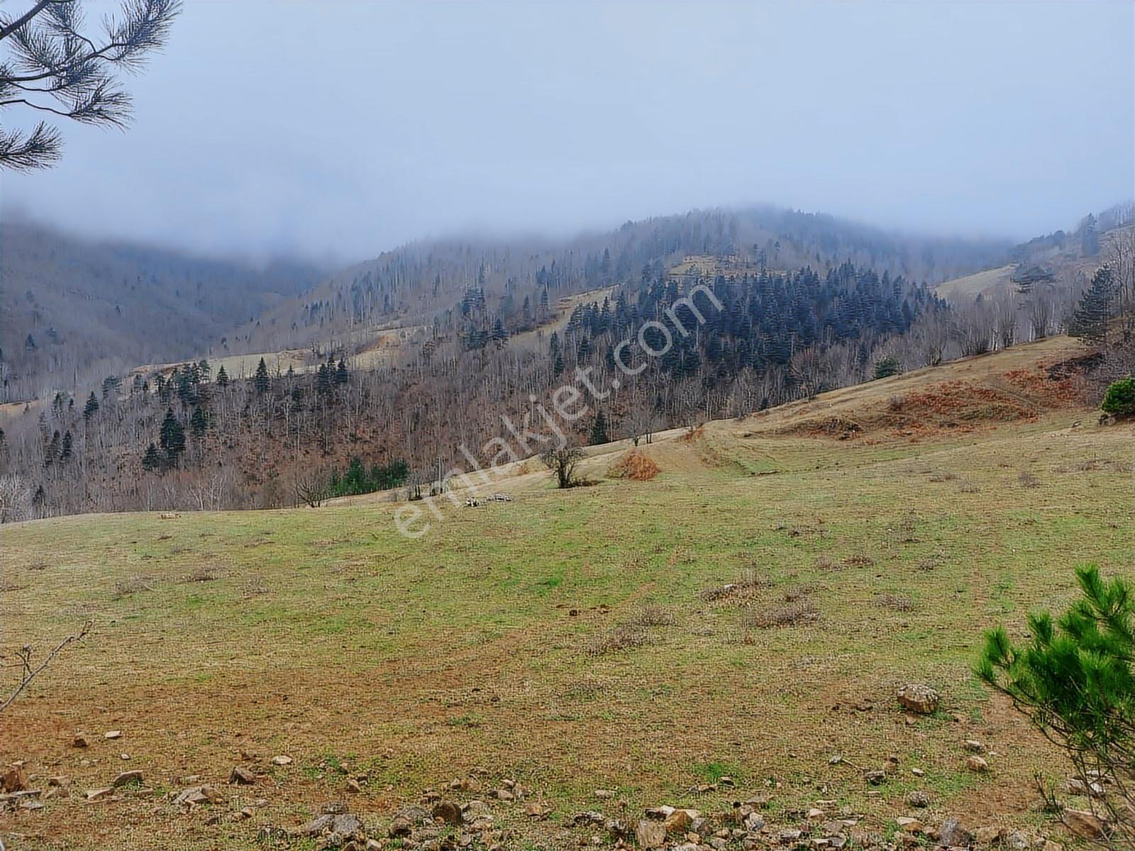Ahşena'dan Alaçam'da Ev Yapımına Uygun 3520 M2 Satılık Arazi - Görsel 8