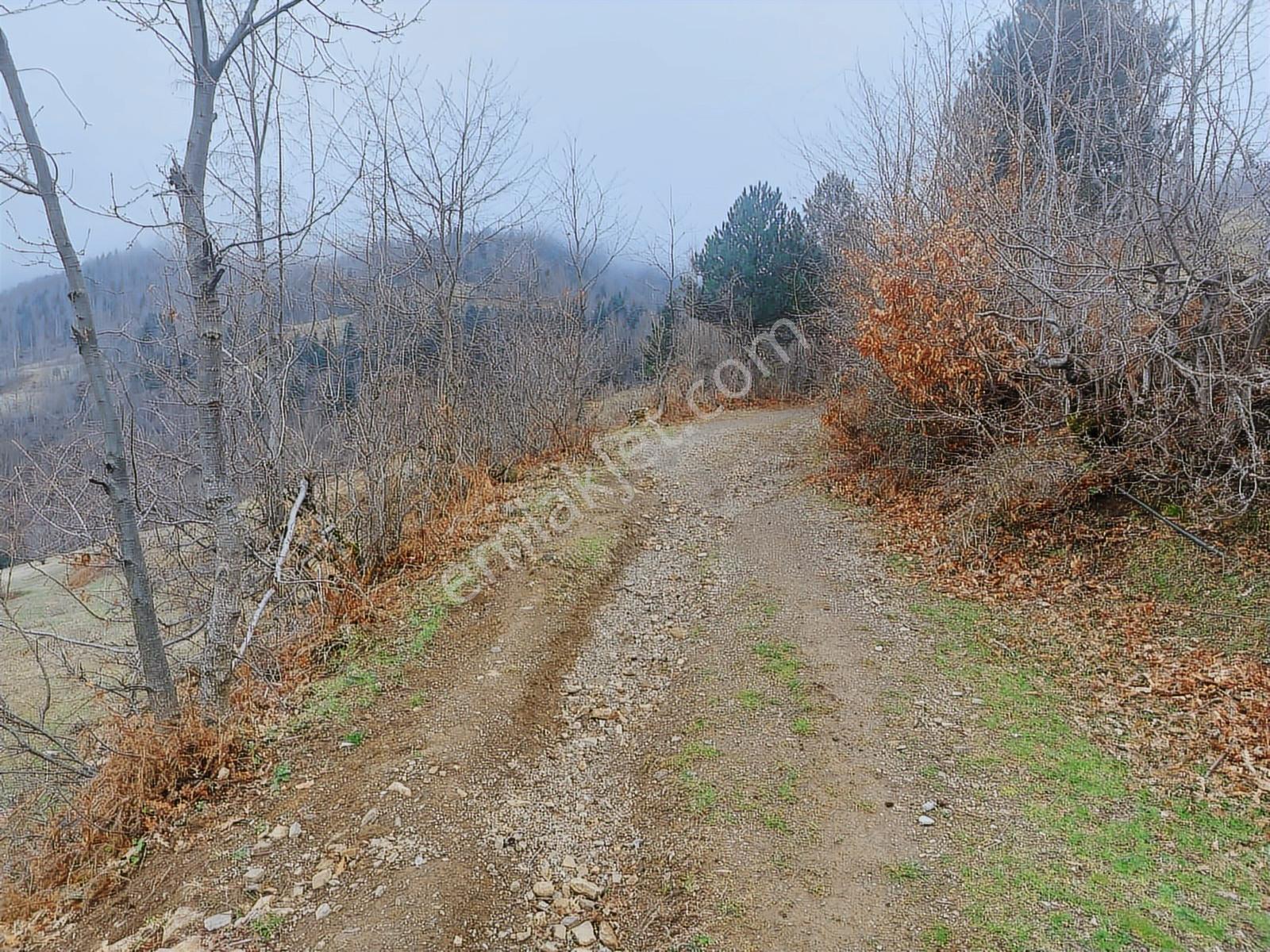 Ahşena'dan Alaçam'da Ev Yapımına Uygun 3520 M2 Satılık Arazi - Görsel 9