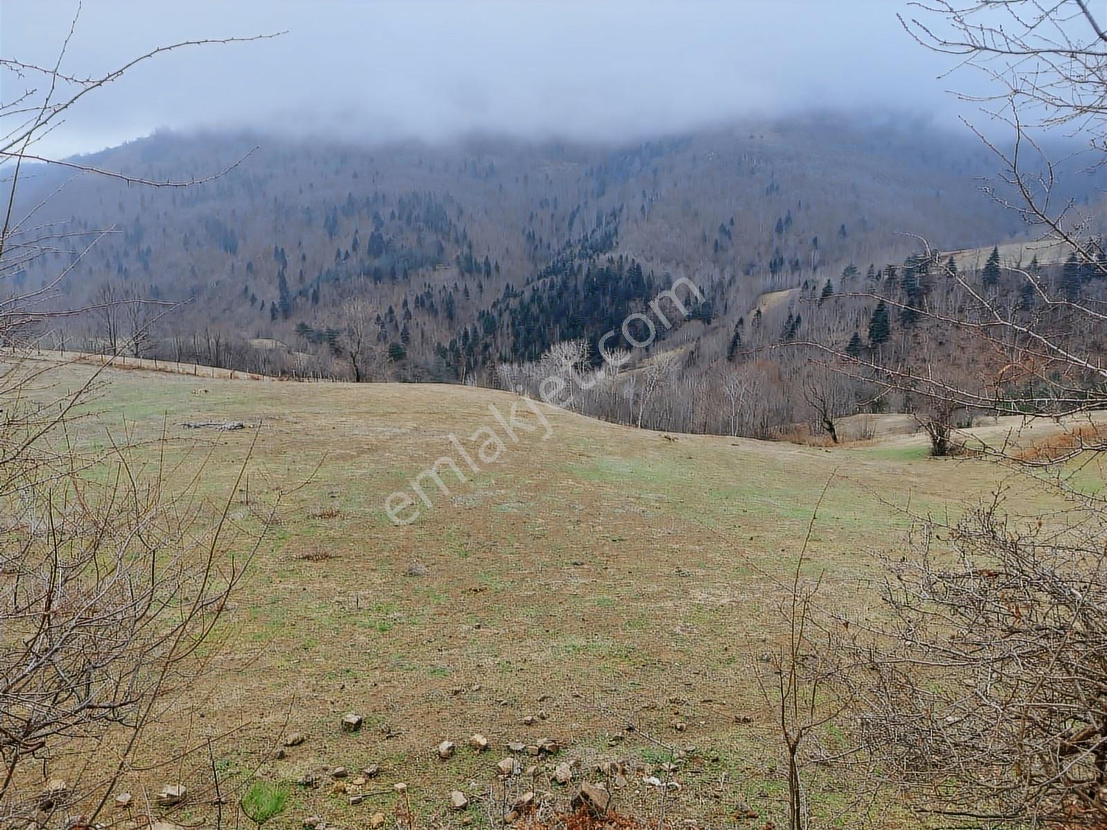 Ahşena'dan Alaçam'da Ev Yapımına Uygun 3520 M2 Satılık Arazi - Görsel 11