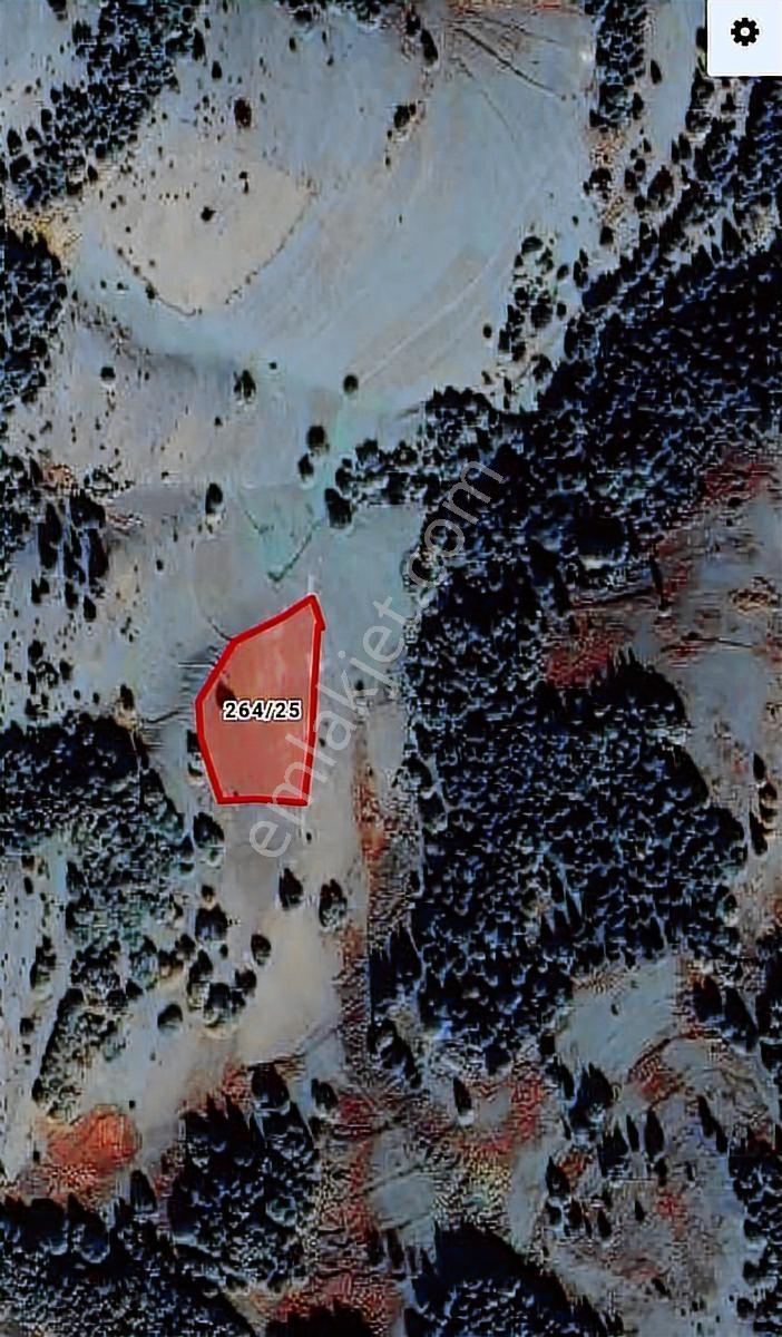 Ahşena'dan Samsun Alaçam'da Yatırıma Uygun 3614 M2 Satılık Arazi - Görsel 3