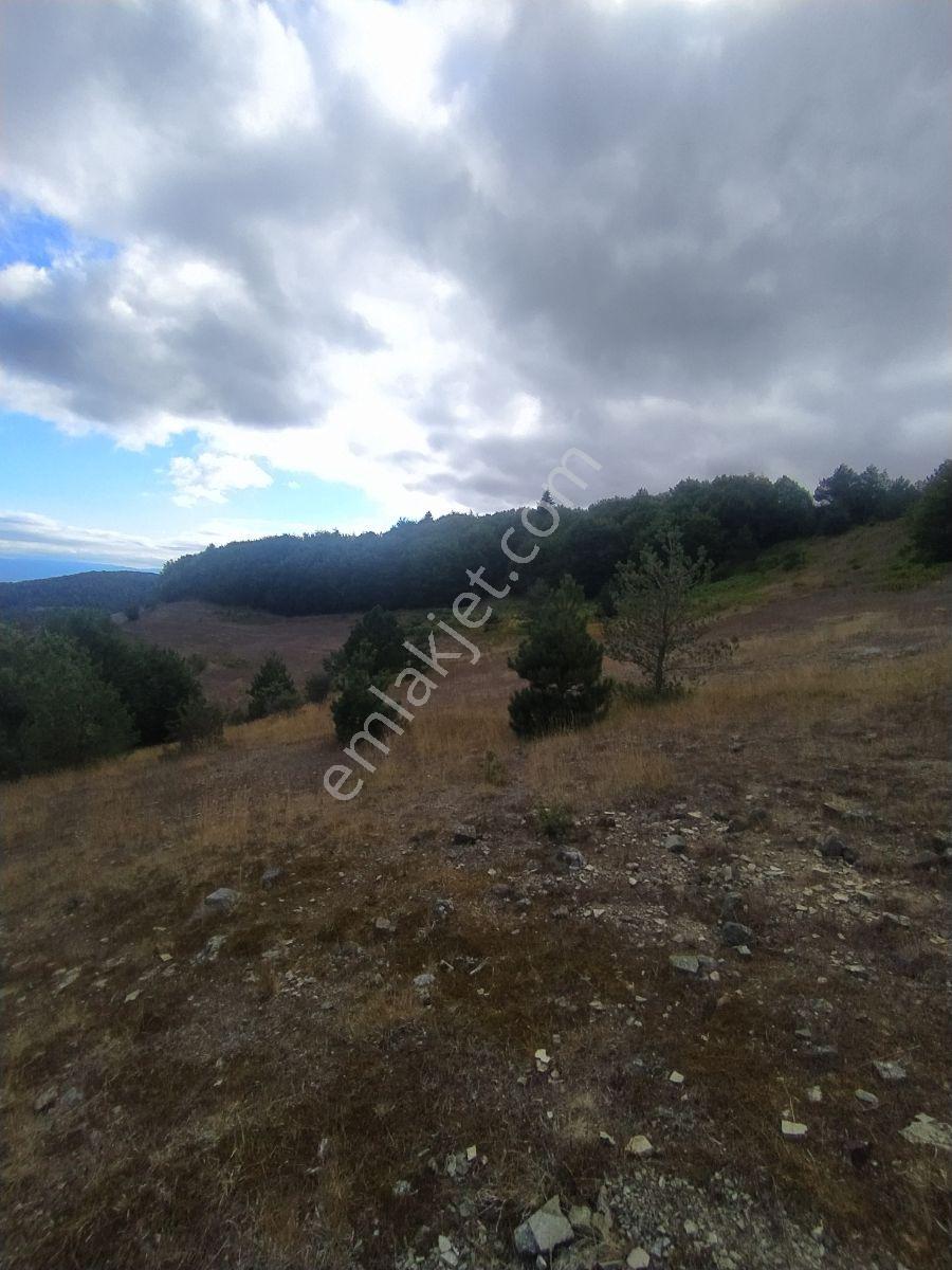 Ahşena'dan Samsun Alaçam'da Yatırıma Uygun 3614 M2 Satılık Arazi - Görsel 4
