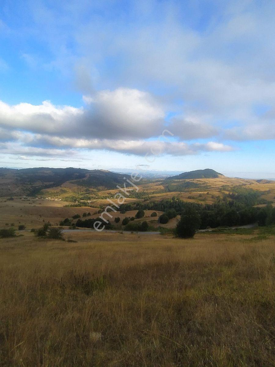 Ahşena'dan Samsun Alaçam'da Yatırıma Uygun 1878 M2 Satılık Arazi