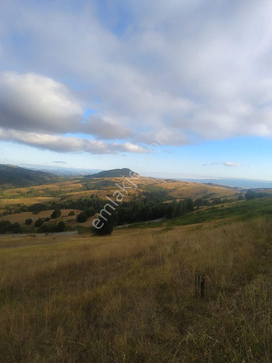 Ahşena'dan Samsun Alaçam'da Yatırıma Uygun 1878 M2 Satılık Arazi - Görsel 3