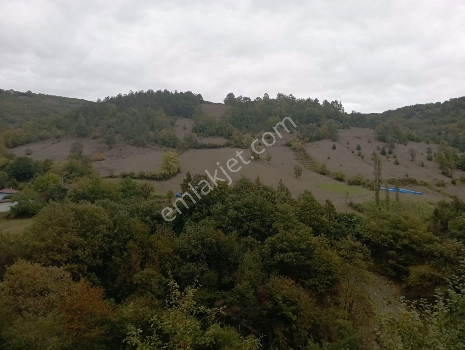 Ahşena'dn Samsun Alaçam'da Yerleşime Yakın 3169 M2 Satılık Arazi - Görsel 5