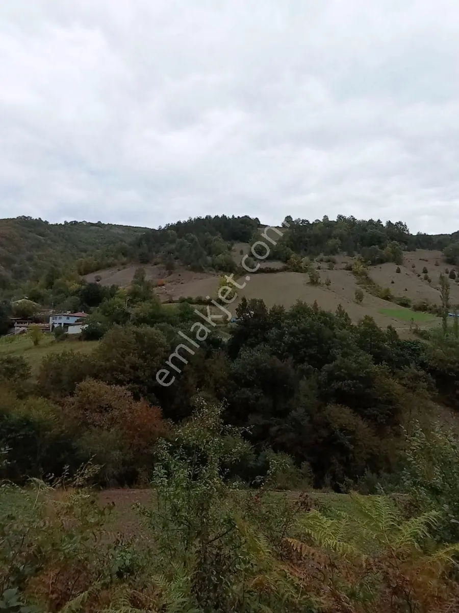 Ahşena'dn Samsun Alaçam'da Yerleşime Yakın 3169 M2 Satılık Arazi
