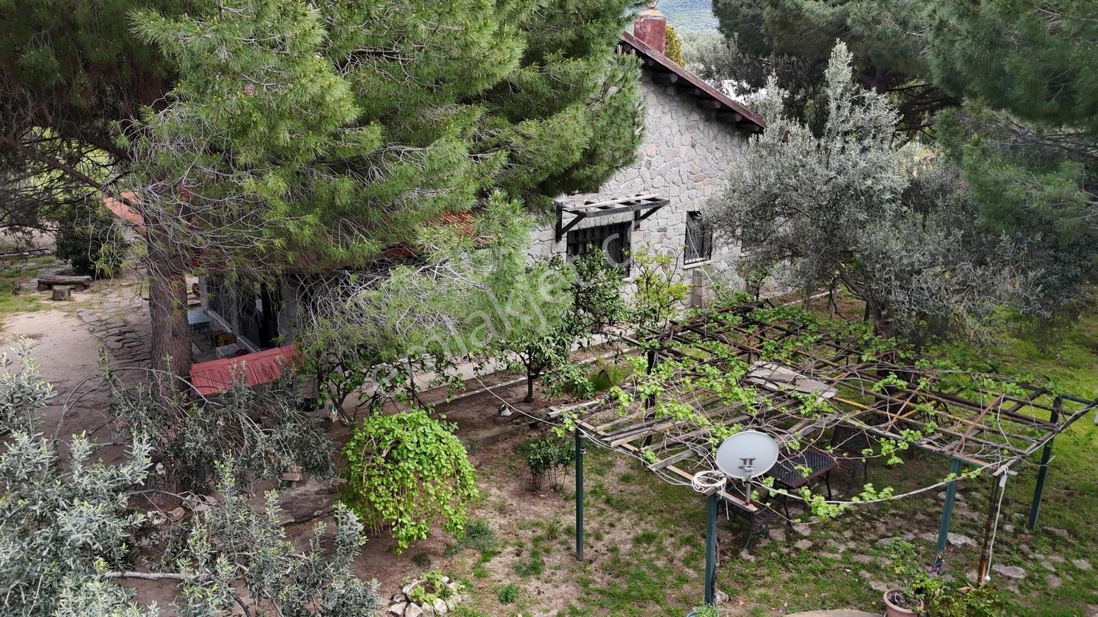 Kalem Adası Manzaralı, Denize 100m Çiftlik Evi - Görsel 2
