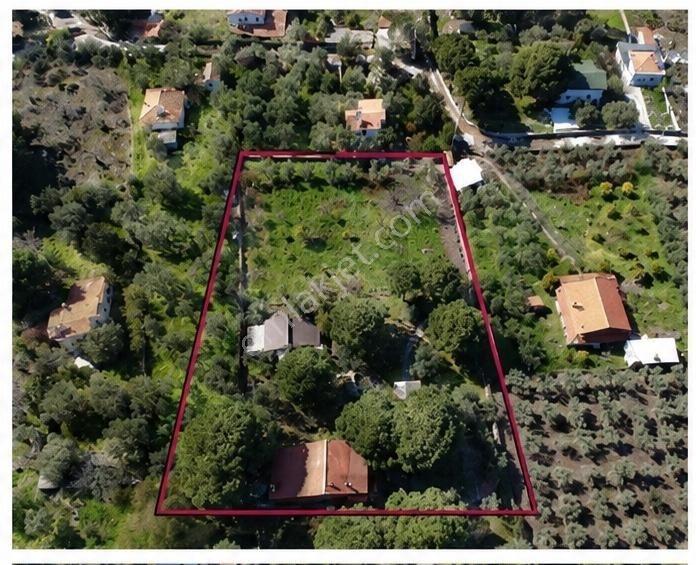 Kalem Adası Manzaralı, Denize 100m Çiftlik Evi - Görsel 24