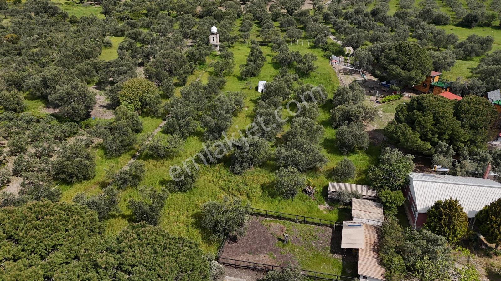 Kalem Adası Manzaralı, Denize 100m Çiftlik Evi - Görsel 6